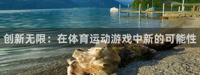 J9官方正版app集团logo:创新无限:在体育运动游戏中新