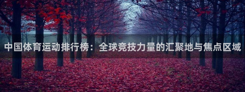 J9官方正版app娱乐下载:中国体育运动排行榜:全球竞技力量
