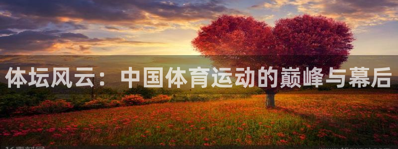 J9官方平台体育:体坛风云:中国体育运动的巅峰与幕后