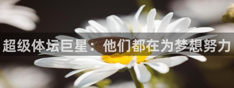 J9官网下载招商电话号码是多少啊:超级体坛巨星:他们都在为梦
