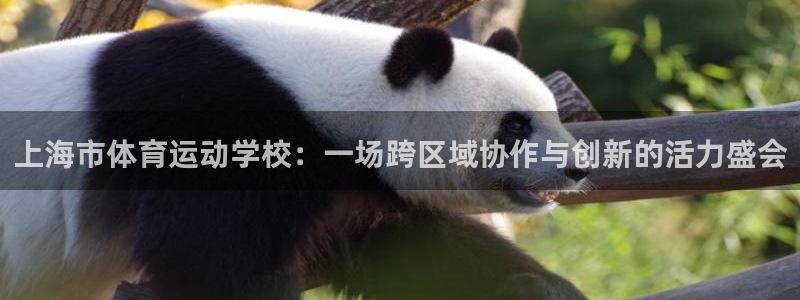 J9官方正版app神州:上海市体育运动学校:一场跨区域协作与