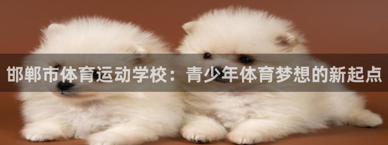 J9官网下载平台是正规平台吗安全吗:邯郸市体育运动学校:青少